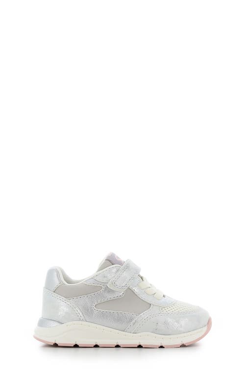 Shop Sj Lifestyle Kids' Luna Sneaker In White/silver