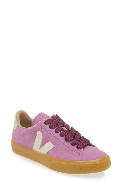 Shop Veja Campo Sneaker In Mulberry/pierre