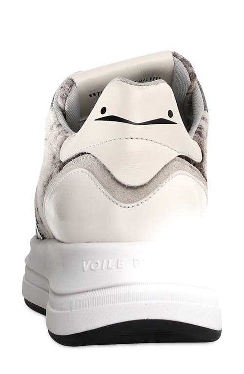 Shop Voile Blanche Melany Platform Sneaker In Black