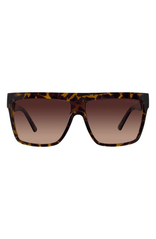 Velvet Eyewear Melania 58mm Gradient Shield Sunglasses in Tortoise at Nordstrom