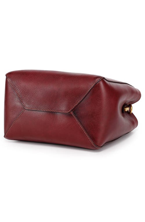 Old Trend Dahlia Mini Tote Bag In Brown