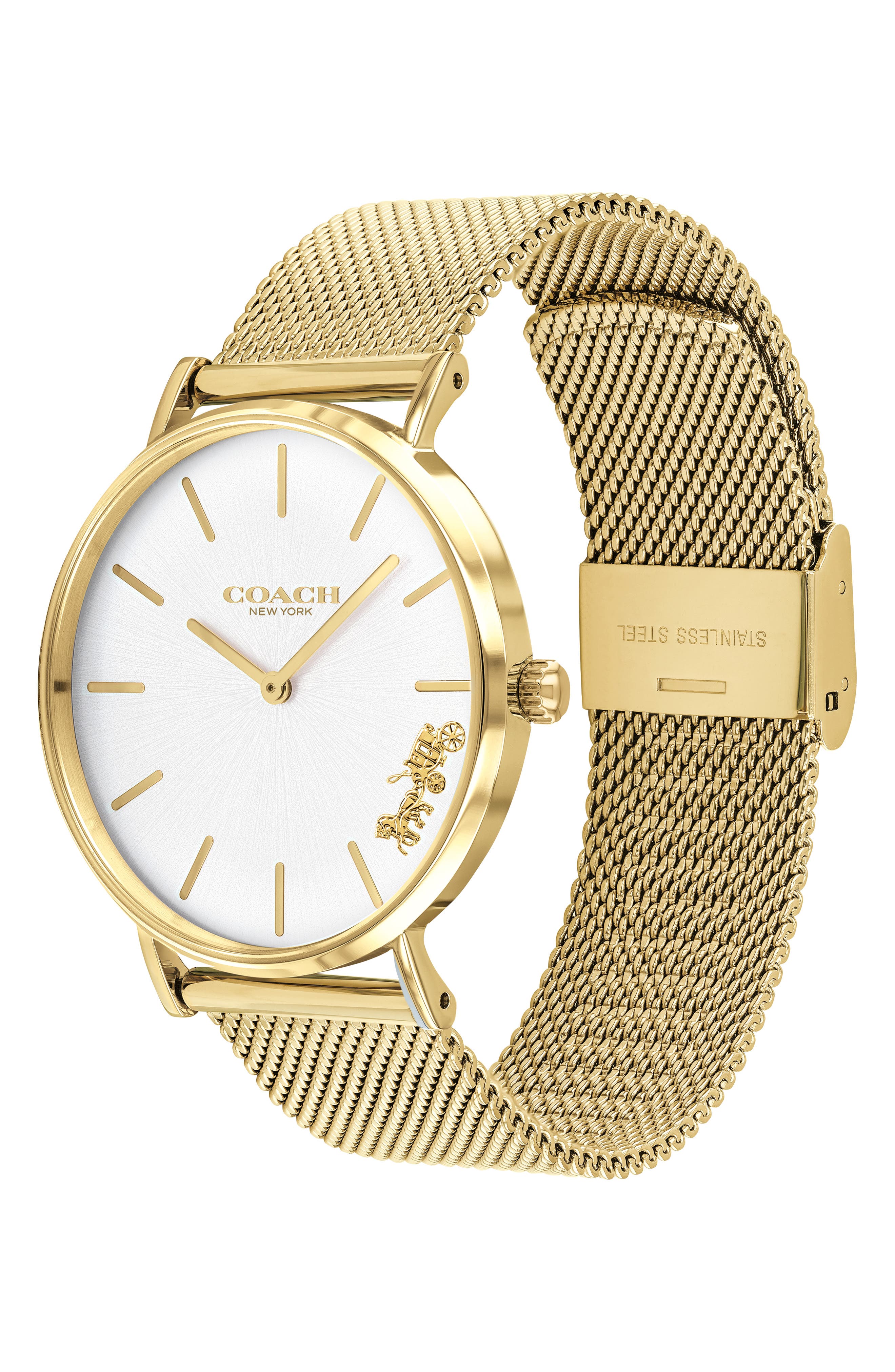 coach mesh watch