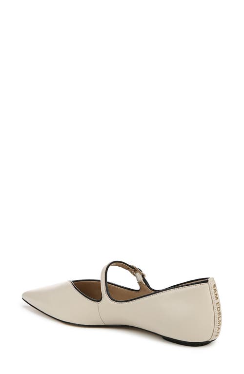 Shop Sam Edelman Noa Mary Jane Pointed Toe Flat In Modern Ivory/black