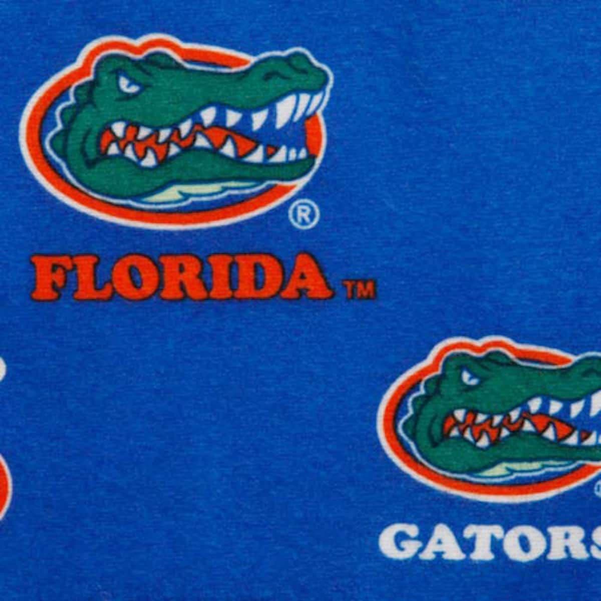 Team Mini Pennant "Florida Gators" ~ **Gift Idea