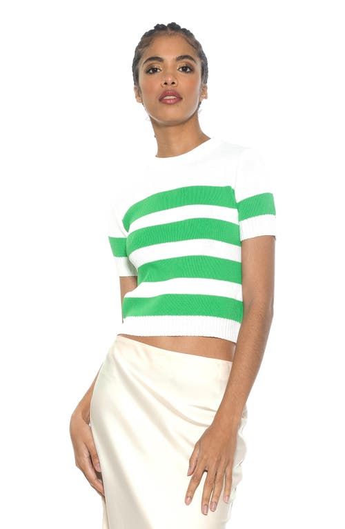Shop Alexia Admor Pat Stripe Short Sleeve Sweater Top In Ivory/green