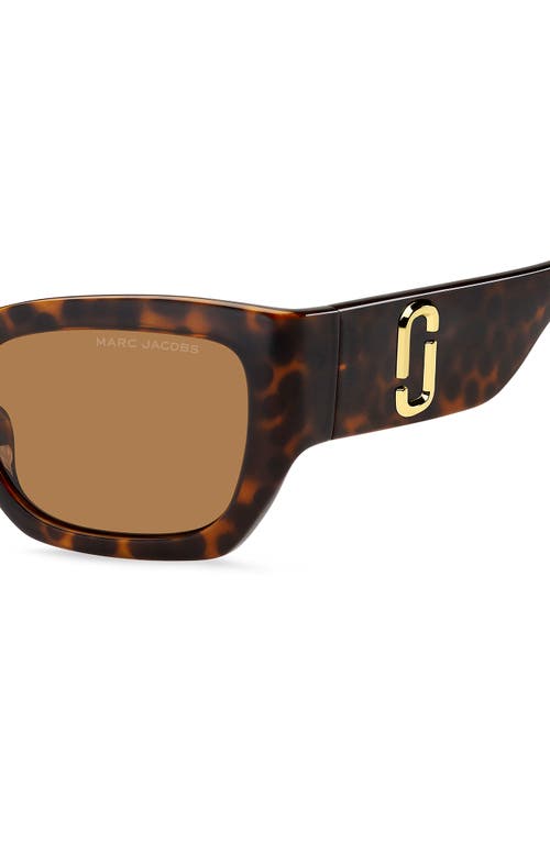 Shop Marc Jacobs 53mm Cat Eye Sunglasses In Havana/brown