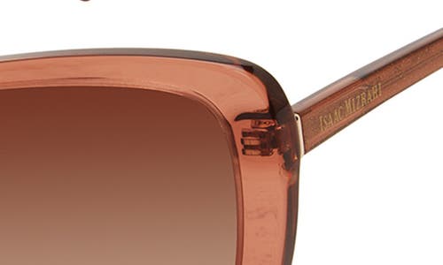 Isaac Mizrahi New York 56mm Oval Sunglasses In Brown