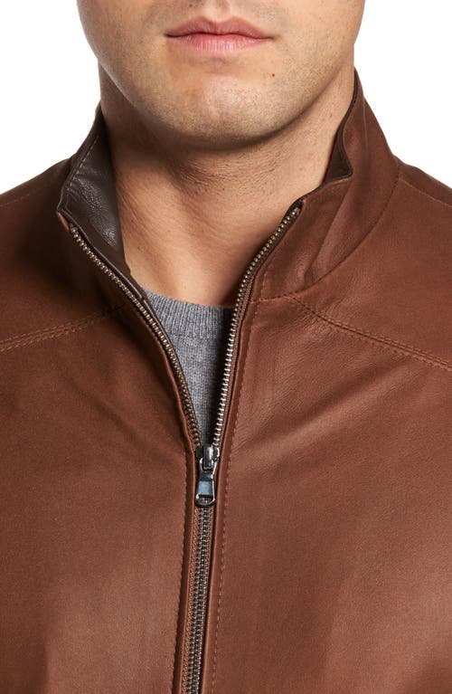 Remy Leather Leather Jacket In Dakota/cocoa