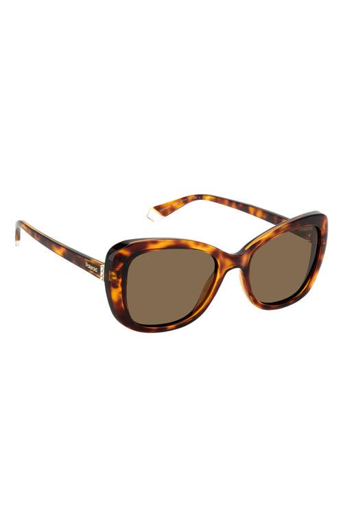 Shop Polaroid 53mm Polarized Cat Eye Sunglasses In Havana/bronze Polar