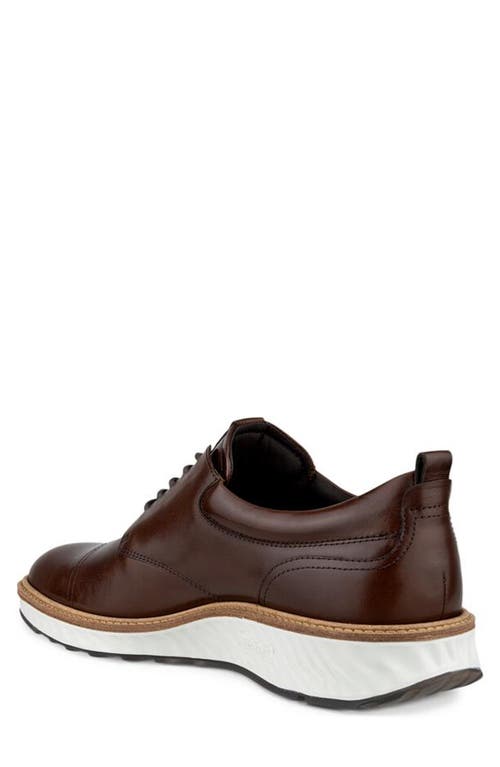 Shop Ecco St.1 Hybrid Cap Toe Derby In Cocoa Brown