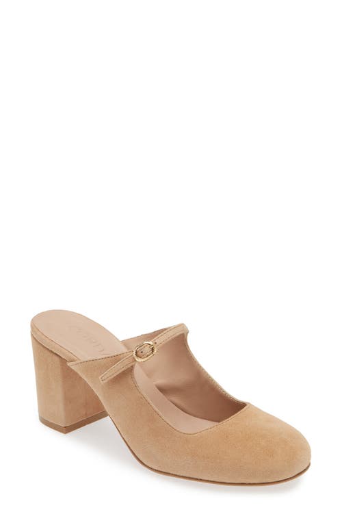 Shop Cordani Shayna Mary Jane Mule In Camel Suede