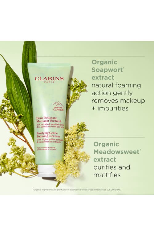 Clarins Purifying Gentle Foaming Cleanser With Salicylic Acid In No Color