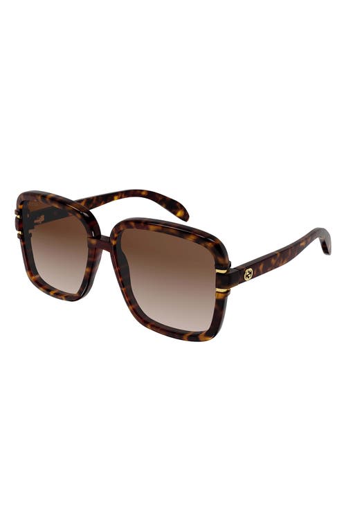 UPC 889652375700 product image for Gucci 59mm Square Sunglasses in Havana Brown at Nordstrom | upcitemdb.com