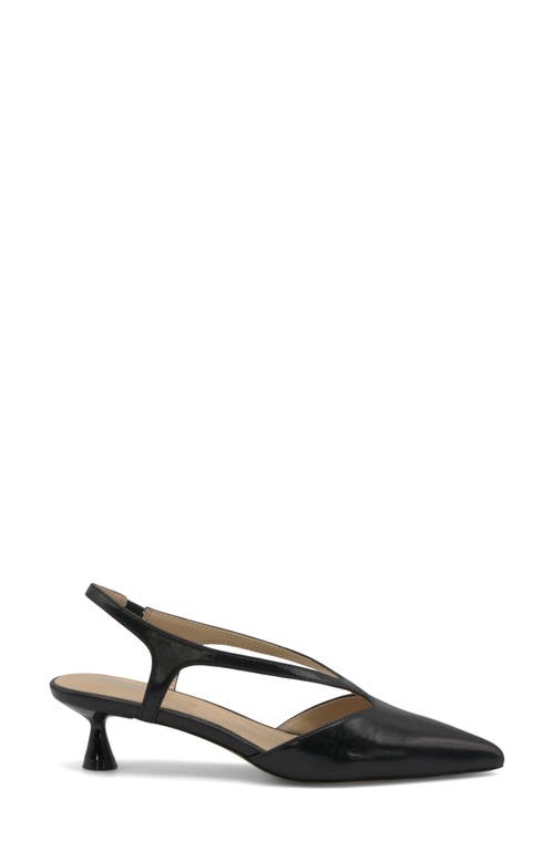 Charles By Charles David Addi Pointed Toe Kitten Heel Pump In Black