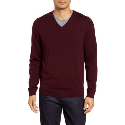 Nordstrom Shop V-Neck Merino Wool Sweater
