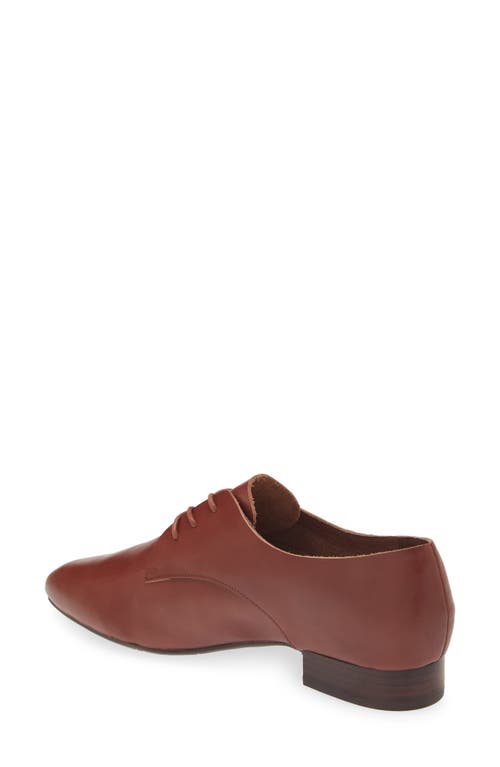 Shop Chocolat Blu Emil Derby In Brown Leather