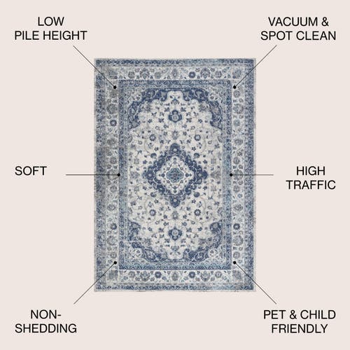 Jonathan Y Indhira Ornate Medallion Persian Area Rug In Blue/gray