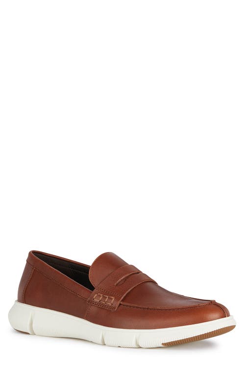 Geox Adacter Loafer at Nordstrom,
