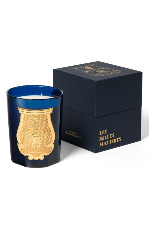 Trudon Reggio Calabrian Citrus Candle In No Color