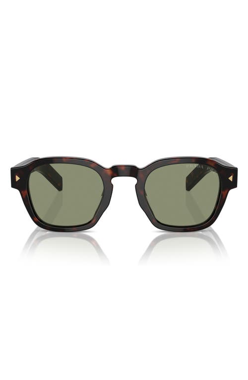 49mm Polarized Round Phantos Sunglasses in Brown/Green