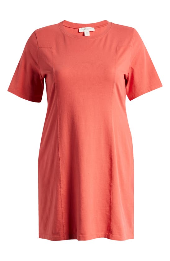 Shop Treasure & Bond Seamed Cotton T-shirt Dress In Red Cranberry