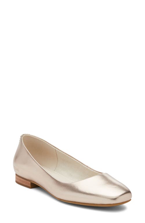 TOMS Briella Ballet Flat in Gold at Nordstrom, Size 10