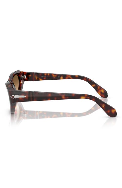 Persol 53mm Polarized Butterfly Sunglasses In Havana