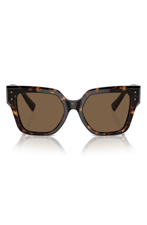 Dolce & Gabbana Dolce&gabbana 52mm Square Sunglasses In Havana