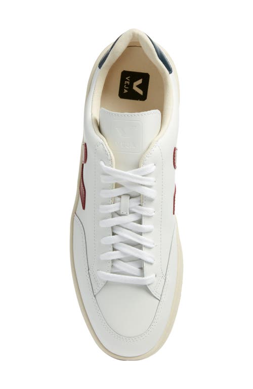 Veja Extra White Marsala And Navy Leather V - 12 Sneakers In Extra White/marsala/nautico