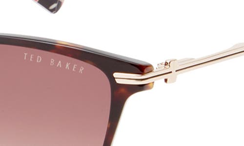 Ted Baker London 57mm Cat Eye Sunglasses In Tortoise