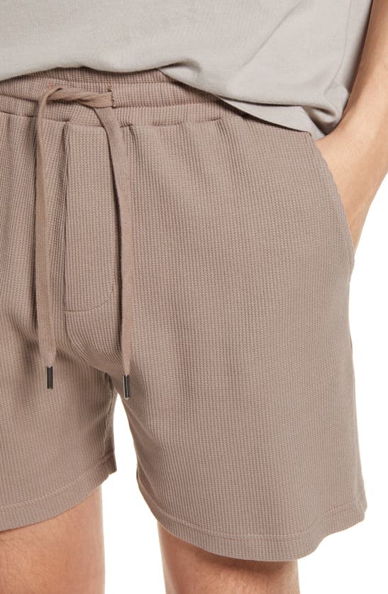 Shop Native Youth Drawstring Stretch Cotton Waffle Shorts In Taupe