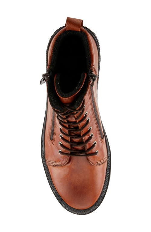 Shop Spring Step Hoylein Combat Boot In Cognac