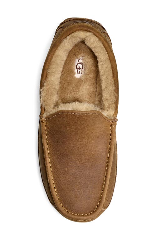 Shop Ugg(r) Ascot Leather Slipper In Tan/tan