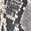 selected Black Snake Print color