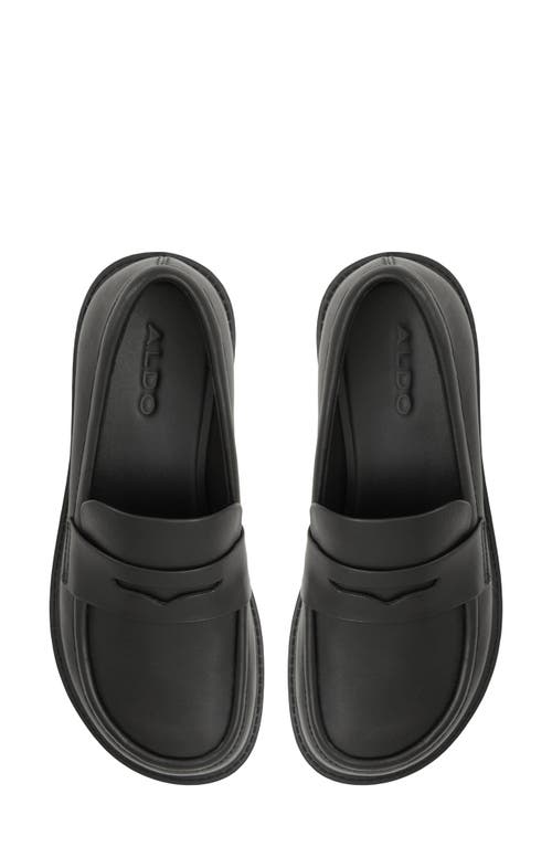 ALDO ALDO HARMONYX PENNY LOAFER 