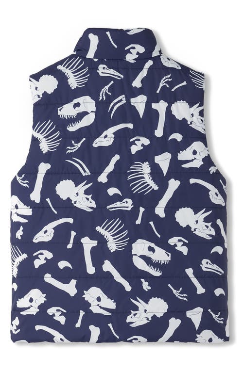 Shop Hatley Kids' Dino Fossils Quilted Reversible Vest In Patriot Blue