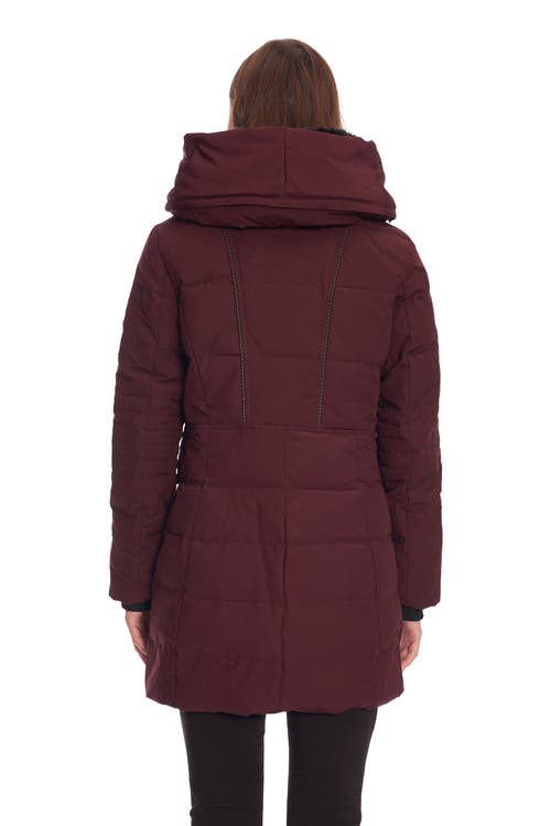 Shop Alpine North Kootney In Grape