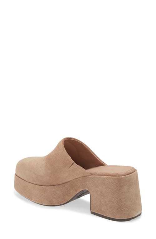 CHOCOLAT BLU CHOCOLAT BLU HEDIA PLATFORM MULE