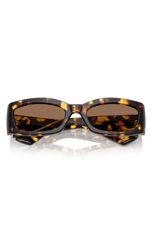 Oliver Peoples X Khaite 54mm Pillow Sunglasses In Dark Brown