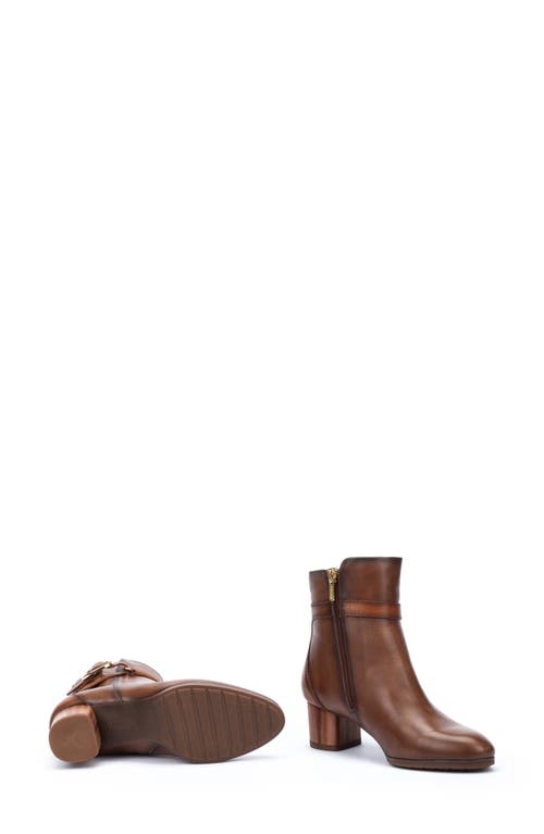 Pikolinos Calafat Buckle Bootie In Topo