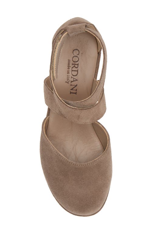 Shop Cordani Darla Platform Pump In Corda Suede