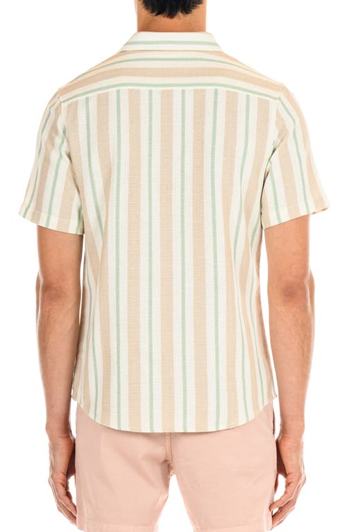 Shop Original Paperbacks Perth Classic Fit Stripe Short Sleeve Cotton Button-up Shirt In Sage Taupe