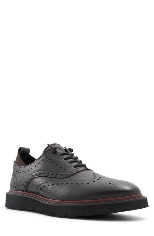 TED BAKER TED BAKER COLINDALE WINGTIP OXFORD 