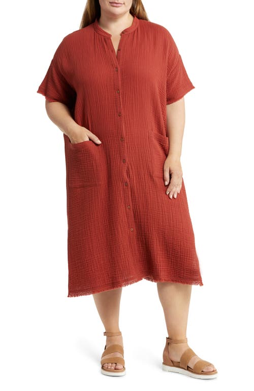 Eileen Fisher Mandarin Collar Short Sleeve Organic Cotton Shirtdress in Picante