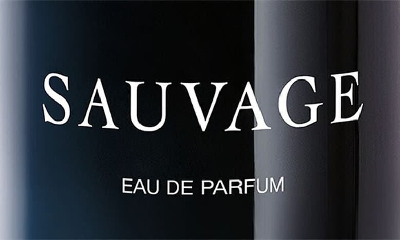 DIOR DIOR SAUVAGE EAU DE PARFUM