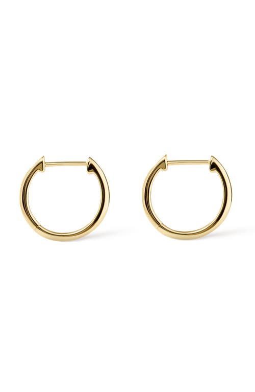 Ana Luisa Small Slim Endless Hoops In Gold
