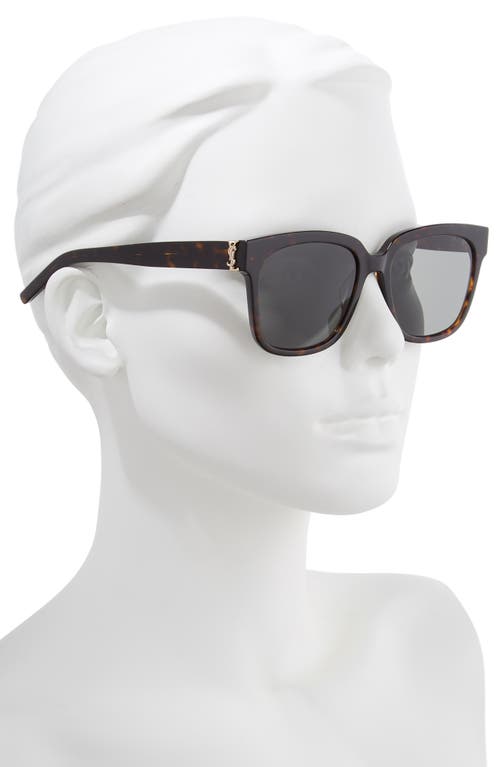 Saint Laurent 54mm Square Sunglasses In Dark Havana/grey