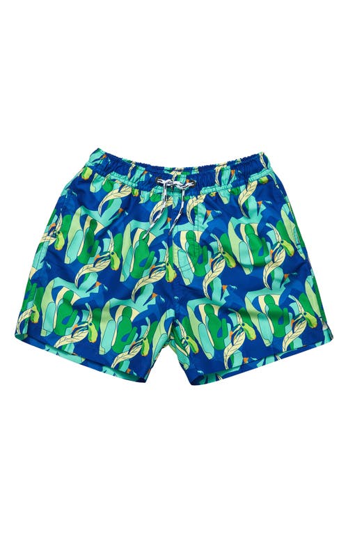 Snapper Rock Kids' Toucan Jungle Swim Trunks Blue at Nordstrom,
