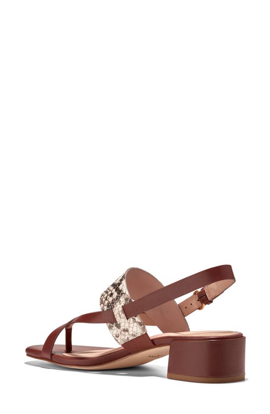 Shop Cole Haan Anica Lux Slingback Sandal In Sandollar Print Soho