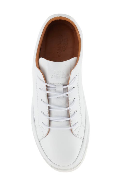 Shop Spring Step Picasa Sneaker In White